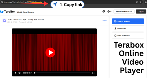 1. TeraBox Online Video Player