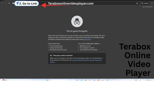 2. TeraBox Online Video Player