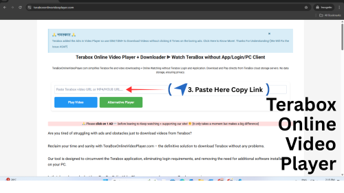 3. TeraBox Online Video Player